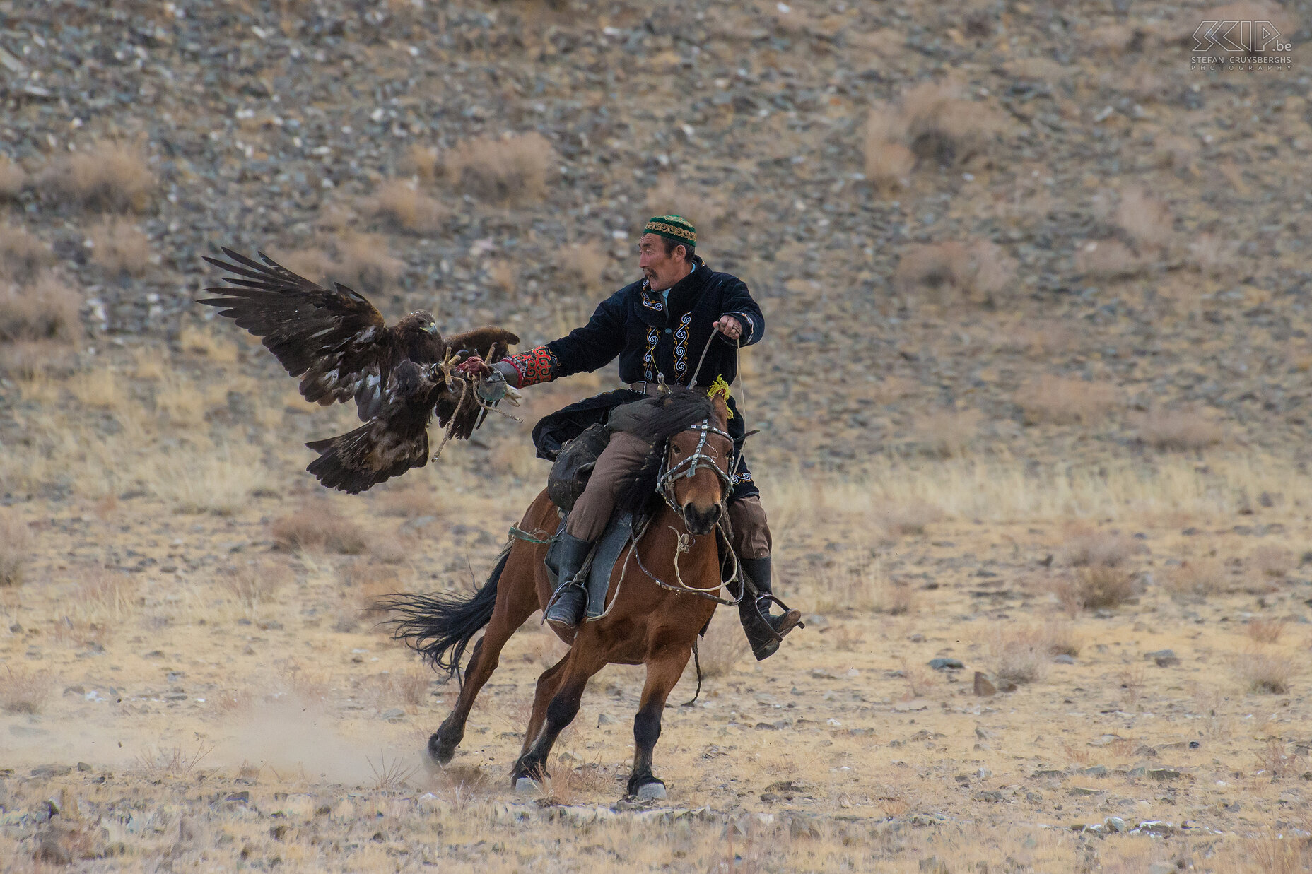 Ulgii - Golden Eagle Festival The competitions are an impressive demonstration of speed and power of the eagles, horses and hunters. Stefan Cruysberghs